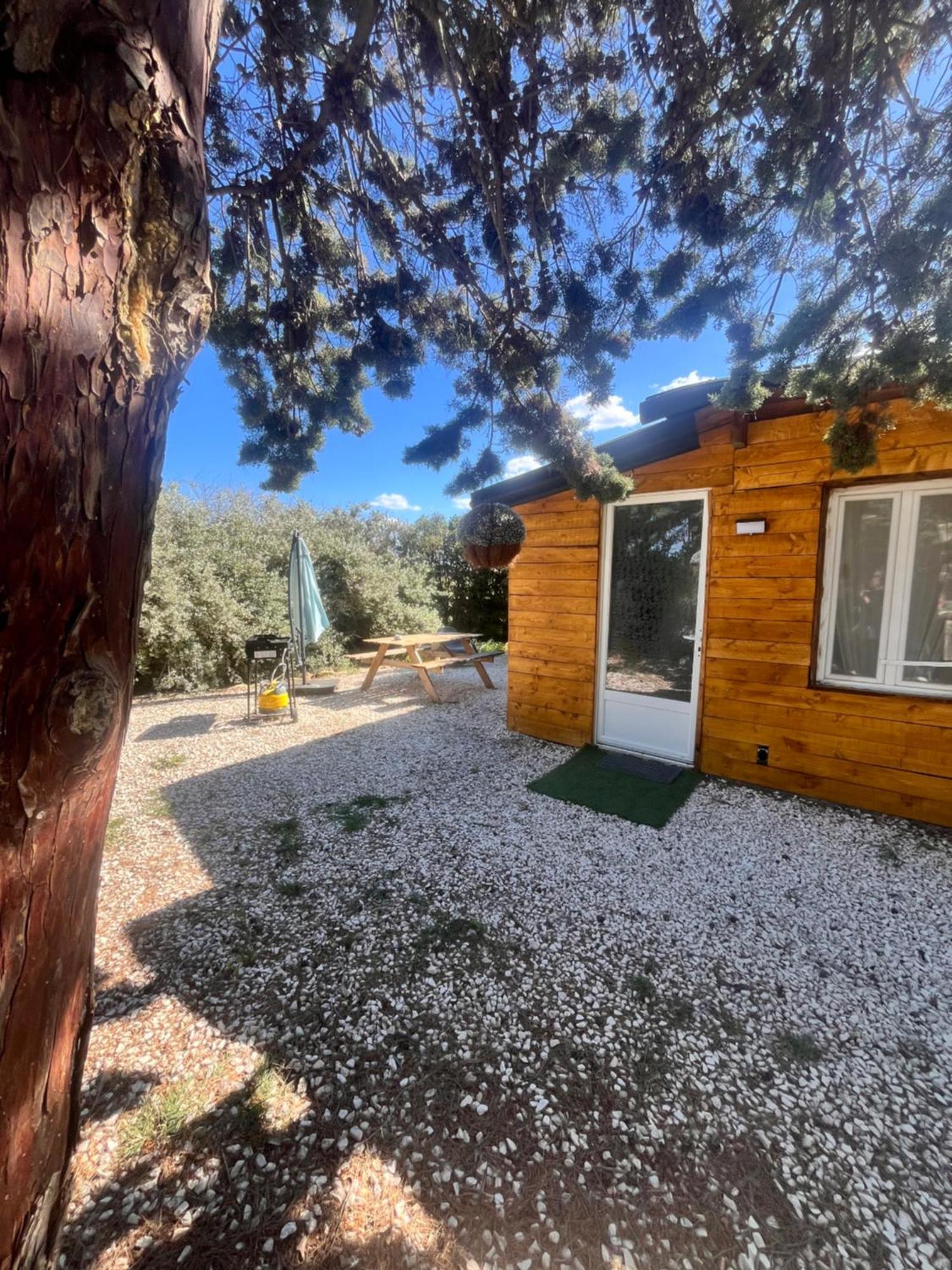 Location T3 Jardin Avec Piscine Villa Mèze Exterior foto